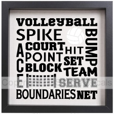 (image for) VOLLEYBALL SPIKE BUMP ACE COURT...