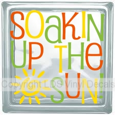 (image for) SOAKIN UP THE SUN!