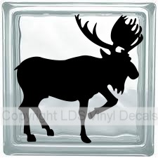 (image for) Moose - Click Image to Close