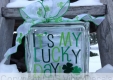 Its My Lucky Day Vinyl Decal