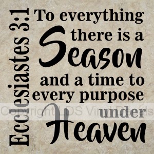 Ecclesiastes 3:1 To everything there is a Season...