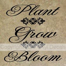 (image for) Plant Grow Bloom