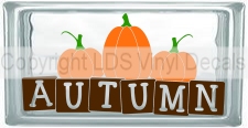 (image for) AUTUMN (with pumpkins)