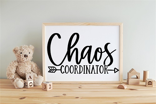 (image for) Chaos Coordinator