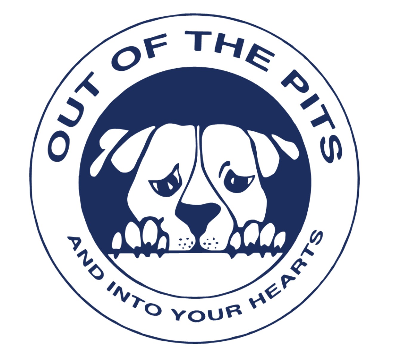(image for) CUSTOM - Out of the pits...