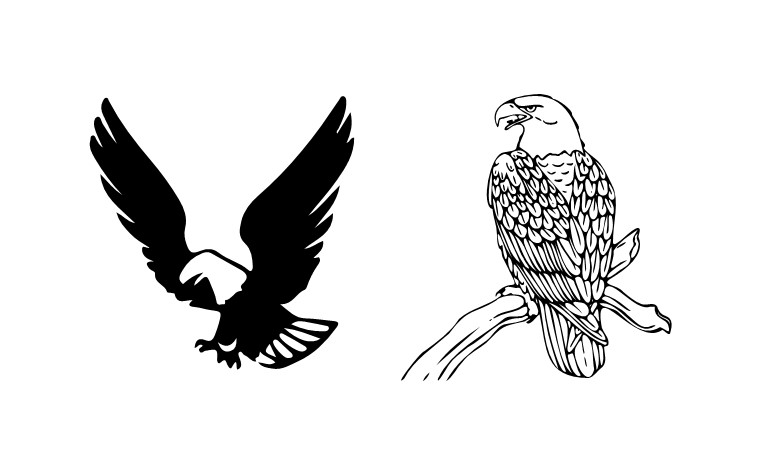 (image for) CUSTOM - Bald Eagles
