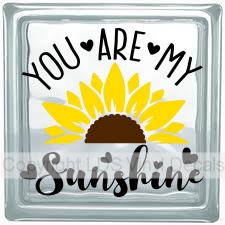 (image for) YOU ARE MY Sunshine