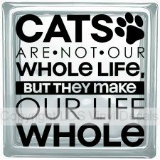 (image for) CATS ARE NOT OUR WHOLE LIFE, BUT THEY MAKE OUR LIFE WHOLE