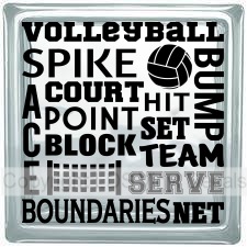 (image for) VOLLEYBALL SPIKE BUMP ACE COURT...