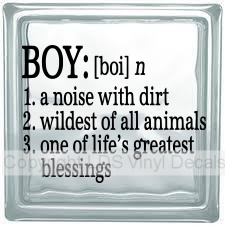 (image for) BOY (definition)
