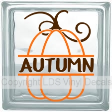 (image for) AUTUMN (with pumpkin)