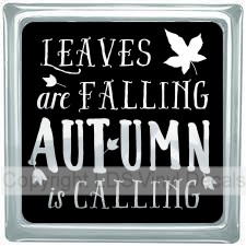 LEAVES are FALLING AUTUMN is CALLING (solid)