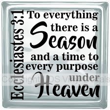 Ecclesiastes 3:1 To everything there is a Season...