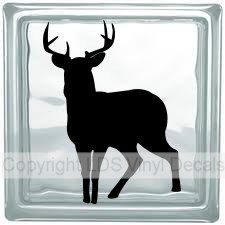 (image for) Deer (Buck)