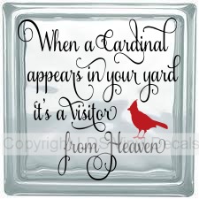 (image for) When a Cardinal appears in your yard it's a visitor from Heaven