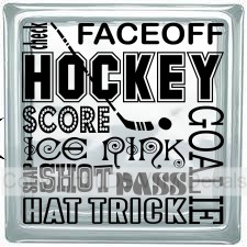 HOCKEY check FACEOFF SCORE ICE RINK SLAP SHOT pass GOALIE...