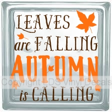 LEAVES are FALLING AUTUMN is CALLING