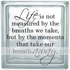 Life is not measured by the breaths we take, but by the moments