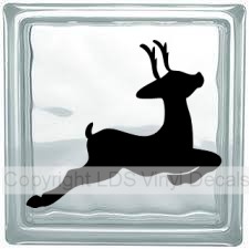 (image for) Reindeer