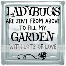 (image for) LADYBUGS ARE SENT FROM ABOVE TO FILL MY GARDEN WITH LOTS OF LOVE