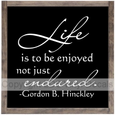 Life is to be enjoyed not just endured. - Gordon B. Hinckley