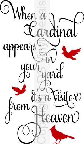 (image for) When a Cardinal appears in your yard it's a visitor from Heaven
