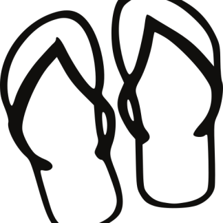 Flip Flops
