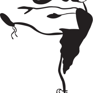 Dancer