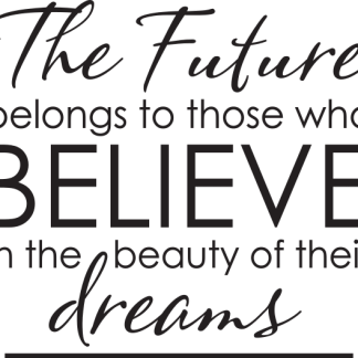 The Future belongs to those who BELIEVE in the beauty...