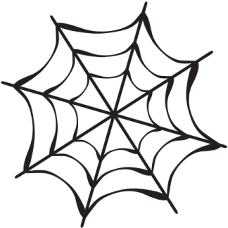 Spider Web