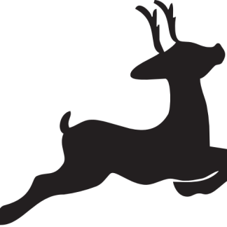 Reindeer