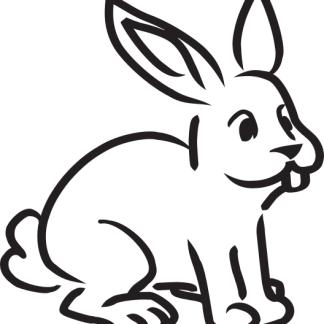 Bunny Rabbit