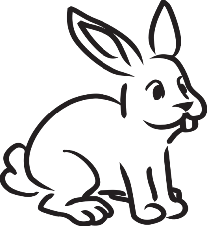 Bunny Rabbit