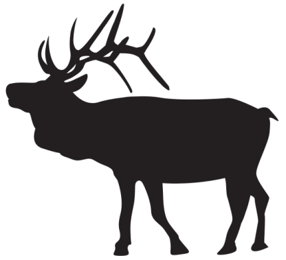 Elk