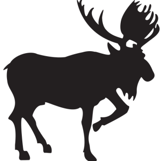 Moose