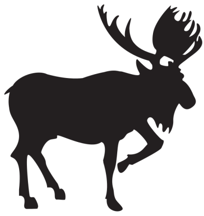 Moose