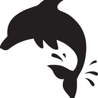 Dolphin