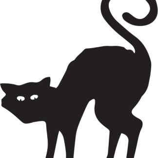 Halloween Cat