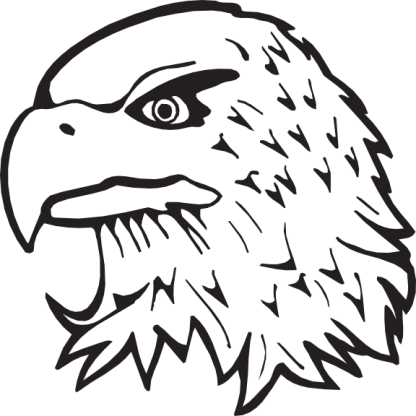 Bald Eagle Head