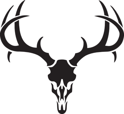 Deer Skull with Antlers