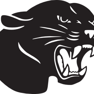 Panther Head