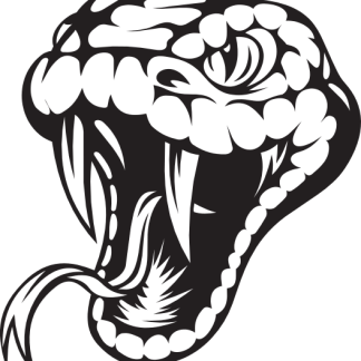 Snake Head