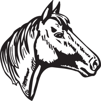 Horse Head