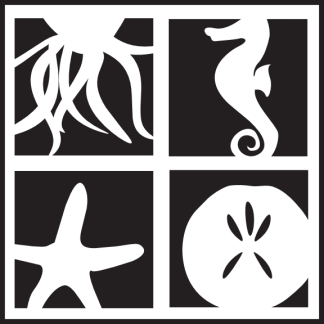Octopus Seahorse Starfish Sand Dollar