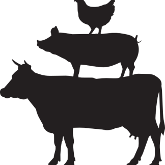 Farm Animals (cow, pig, chicken)