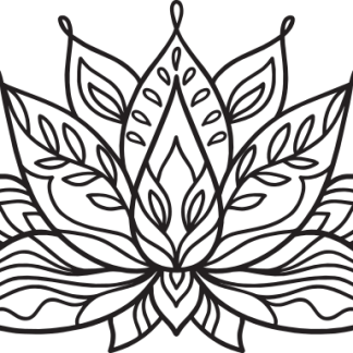 Lotus Flower