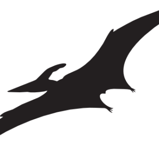 Pterodactyl Silhouette