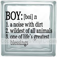 BOY (definition)