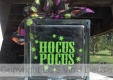 Hocus Pocus Vinyl Decal